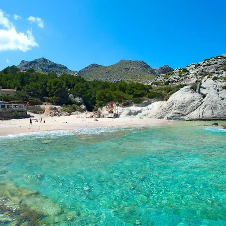 Owl Suavet Petit - Exclusive With A Stunning Pool Pollença