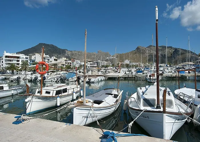 Owl Suavet Petit - Exclusive With A Stunning Pool Pollença